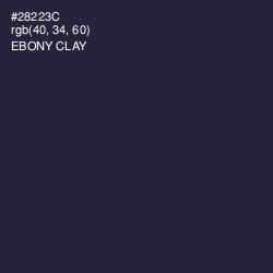 #28223C - Ebony Clay Color Image