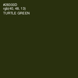 #28300D - Turtle Green Color Image