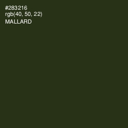 #283216 - Mallard Color Image