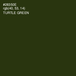 #28350E - Turtle Green Color Image