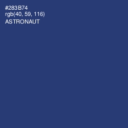 #283B74 - Astronaut Color Image