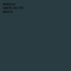 #283C41 - Tuna Color Image