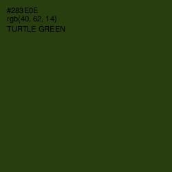 #283E0E - Turtle Green Color Image