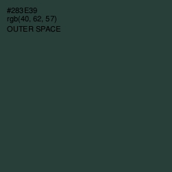 #283E39 - Outer Space Color Image