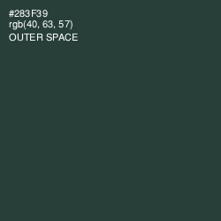 #283F39 - Outer Space Color Image