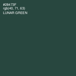 #28473F - Lunar Green Color Image