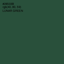 #28503B - Lunar Green Color Image