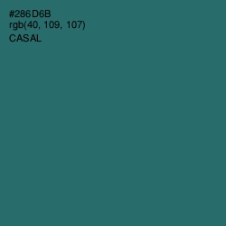 #286D6B - Casal Color Image