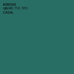 #286E65 - Casal Color Image