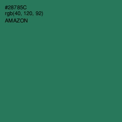 #28785C - Amazon Color Image