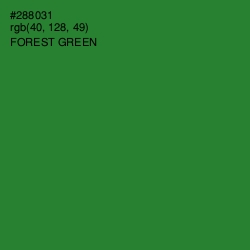 #288031 - Forest Green Color Image