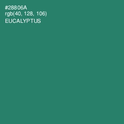 #28806A - Eucalyptus Color Image