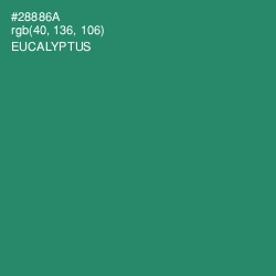 #28886A - Eucalyptus Color Image