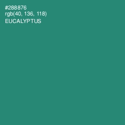 #288876 - Eucalyptus Color Image