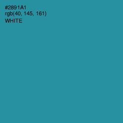 #2891A1 - Boston Blue Color Image