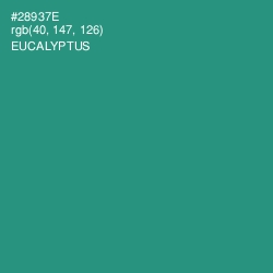 #28937E - Eucalyptus Color Image