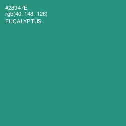 #28947E - Eucalyptus Color Image