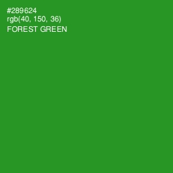#289624 - Forest Green Color Image