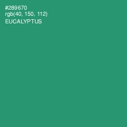 #289670 - Eucalyptus Color Image