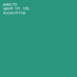 #28977D - Eucalyptus Color Image