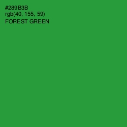 #289B3B - Forest Green Color Image