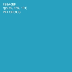 #28A0BF - Pelorous Color Image