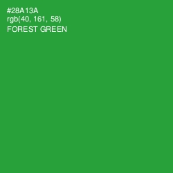 #28A13A - Forest Green Color Image