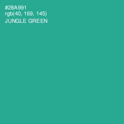 #28A991 - Jungle Green Color Image
