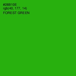 #28B10E - Forest Green Color Image