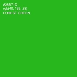 #28B71D - Forest Green Color Image