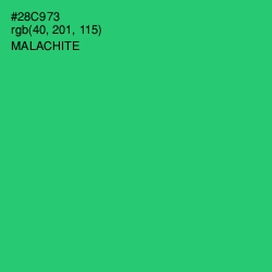 #28C973 - Malachite Color Image