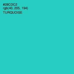 #28CDC2 - Turquoise Color Image