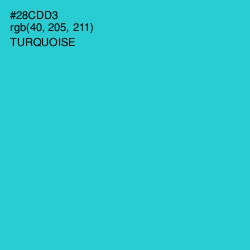#28CDD3 - Turquoise Color Image