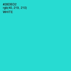 #28DBD2 - Turquoise Color Image