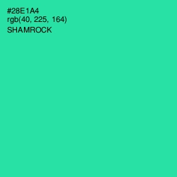 #28E1A4 - Shamrock Color Image