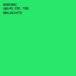 #28E86C - Malachite Color Image