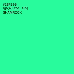 #28FB9B - Shamrock Color Image