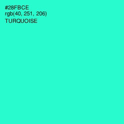 #28FBCE - Turquoise Color Image