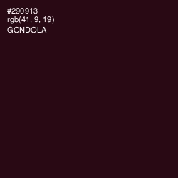 #290913 - Gondola Color Image