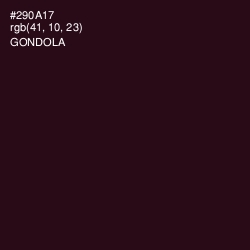 #290A17 - Gondola Color Image