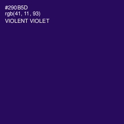 #290B5D - Violent Violet Color Image