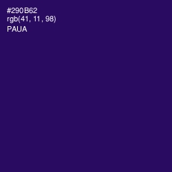 #290B62 - Paua Color Image