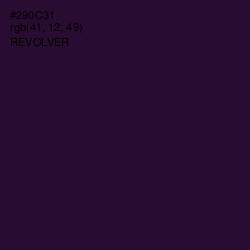 #290C31 - Revolver Color Image