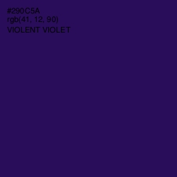 #290C5A - Violent Violet Color Image