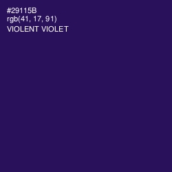 #29115B - Violent Violet Color Image