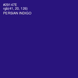 #29147E - Persian Indigo Color Image