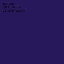 #29185C - Violent Violet Color Image