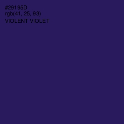 #29195D - Violent Violet Color Image