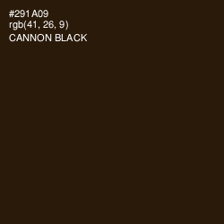 #291A09 - Cannon Black Color Image