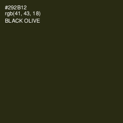 #292B12 - Black Olive Color Image